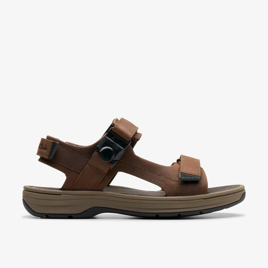 Saltway Trail Dark Brown Leather Clarks Men