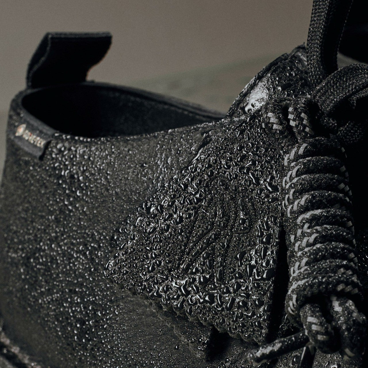 Desert Trek GORE-TEX Black Leather Clarks Men