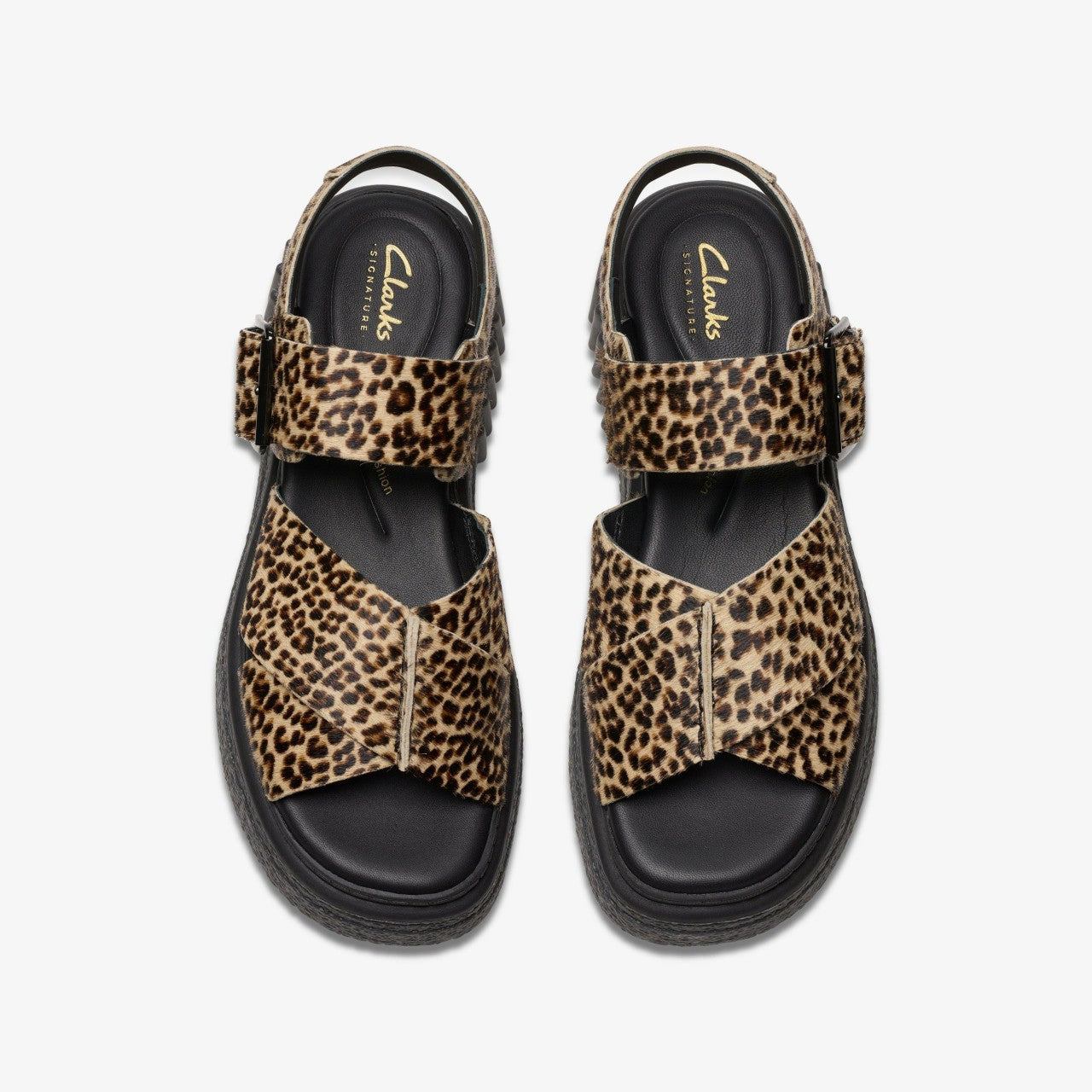 Evamar Wish Leopard Print Clarks Women