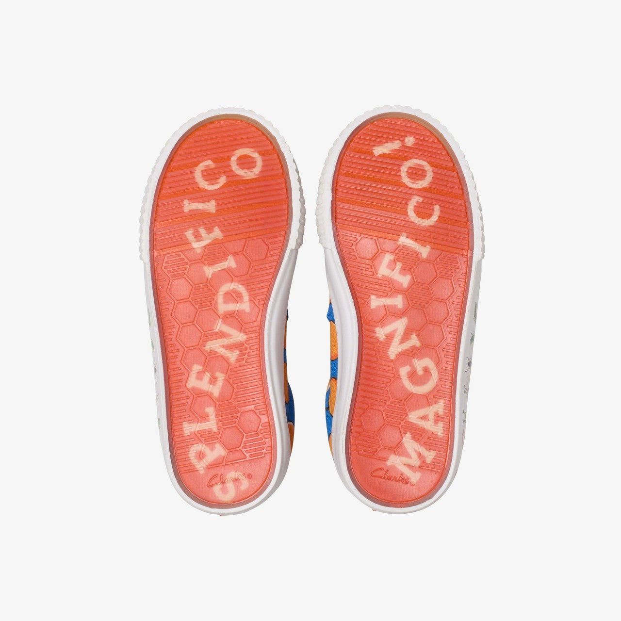 Roald Dahl James & the Giant Peach Foxing Air Kid Blue Canvas Clarks Kids