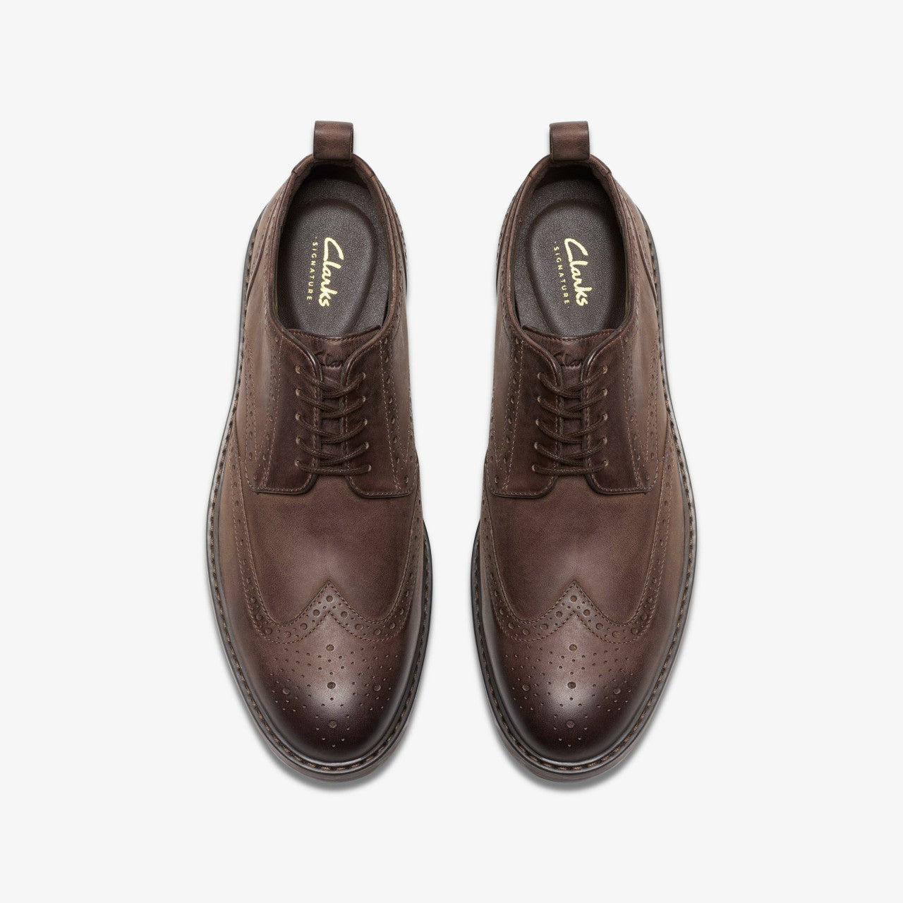 Aldwin Limit Brogue Brown Leather Clarks Men